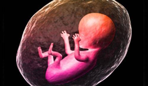 ¿Un bebé puede abrir los ojos en el vientre?